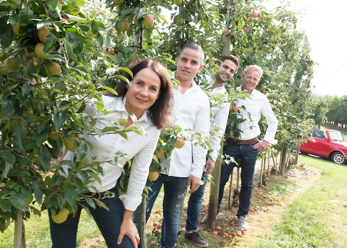 Rosengarten Immenstaad am Bodensee